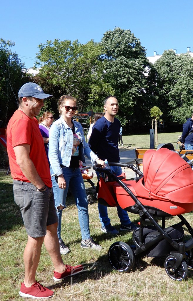 Életfa ültetés a város napján 13